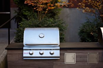 Bbq grilling station